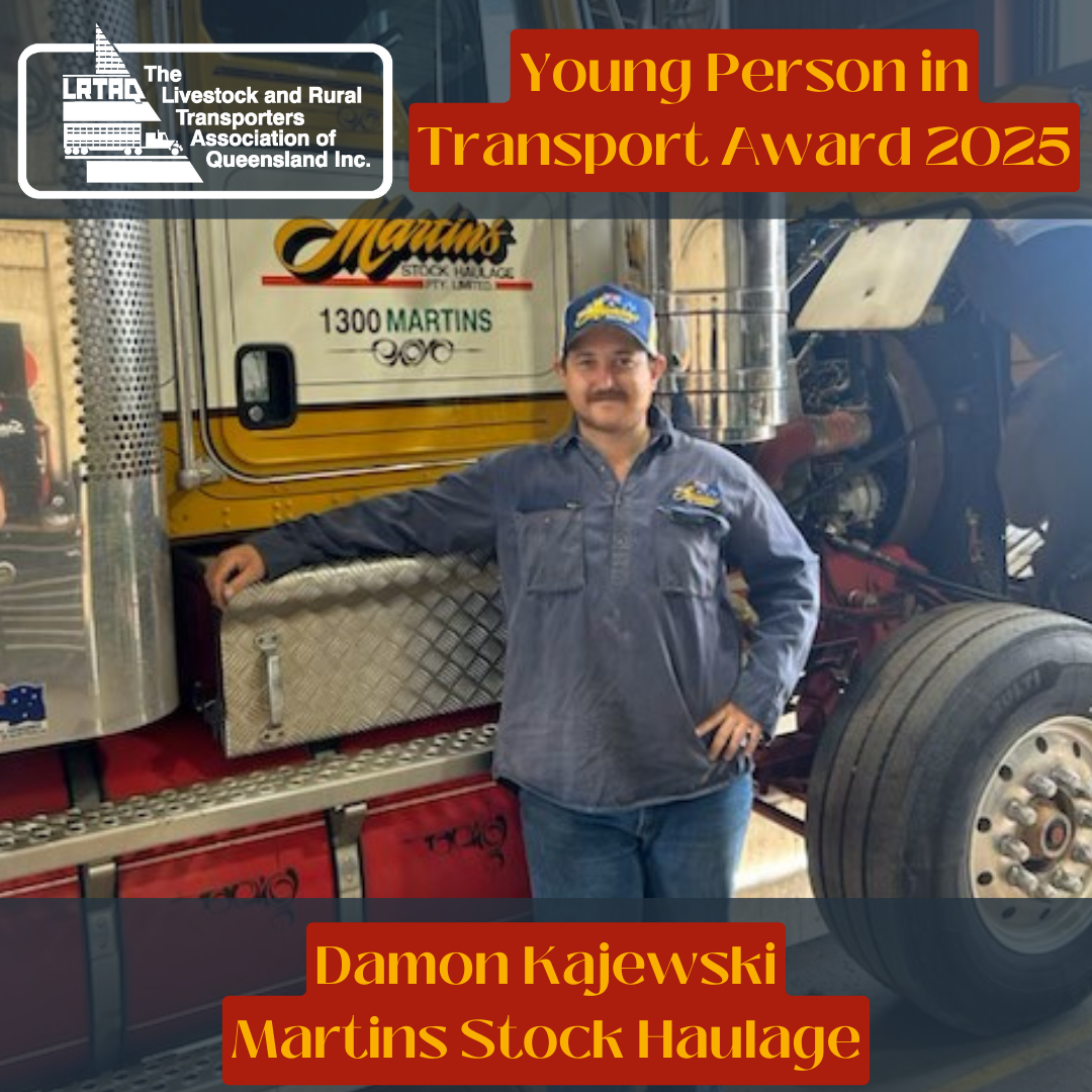 Young-Person-in-Transport-2025-1